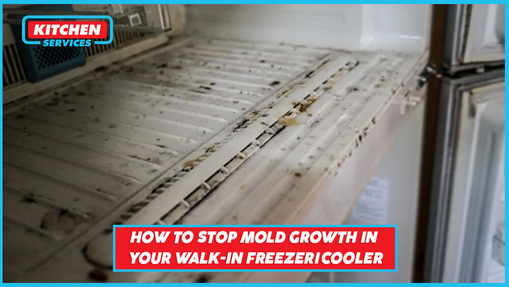 How to Stop Mold Growth in your Walk-in Freezer - Kitchen Services