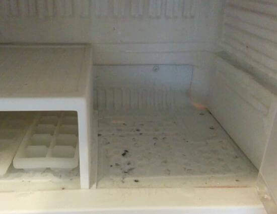 https://kitchen.services/wp-content/uploads/2021/06/mold-in-the-freezer-1.jpg