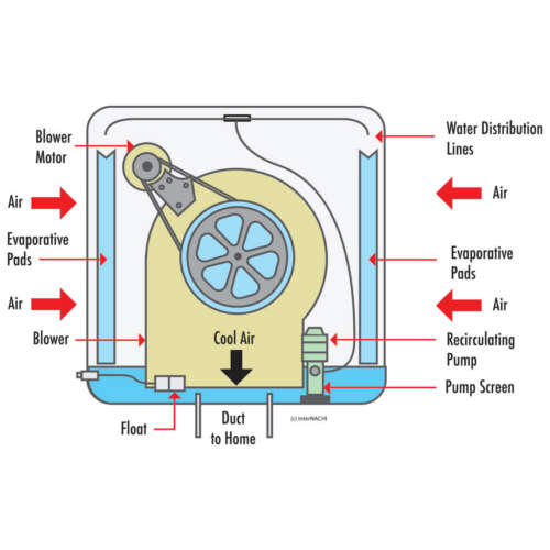 step-by-step-installation-instructions-for-swamp-cooler-kitchen-services