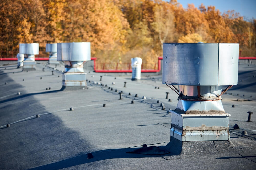 Your Go-To Guide for Choosing a Commercial Exhaust Hood